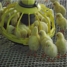 Venda quente preço de fábrica equipamentos de avicultura para briloers